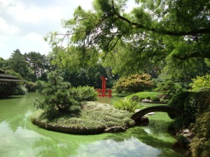 The Japanese Zen Garden at the BBG. 